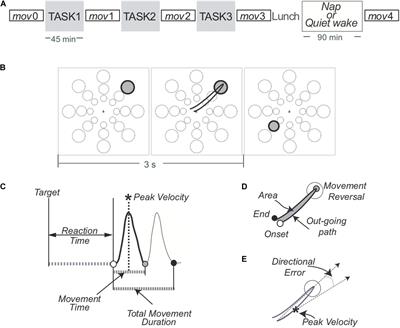 Prior Practice Affects Movement-Related Beta Modulation and Quiet Wake Restores It to Baseline